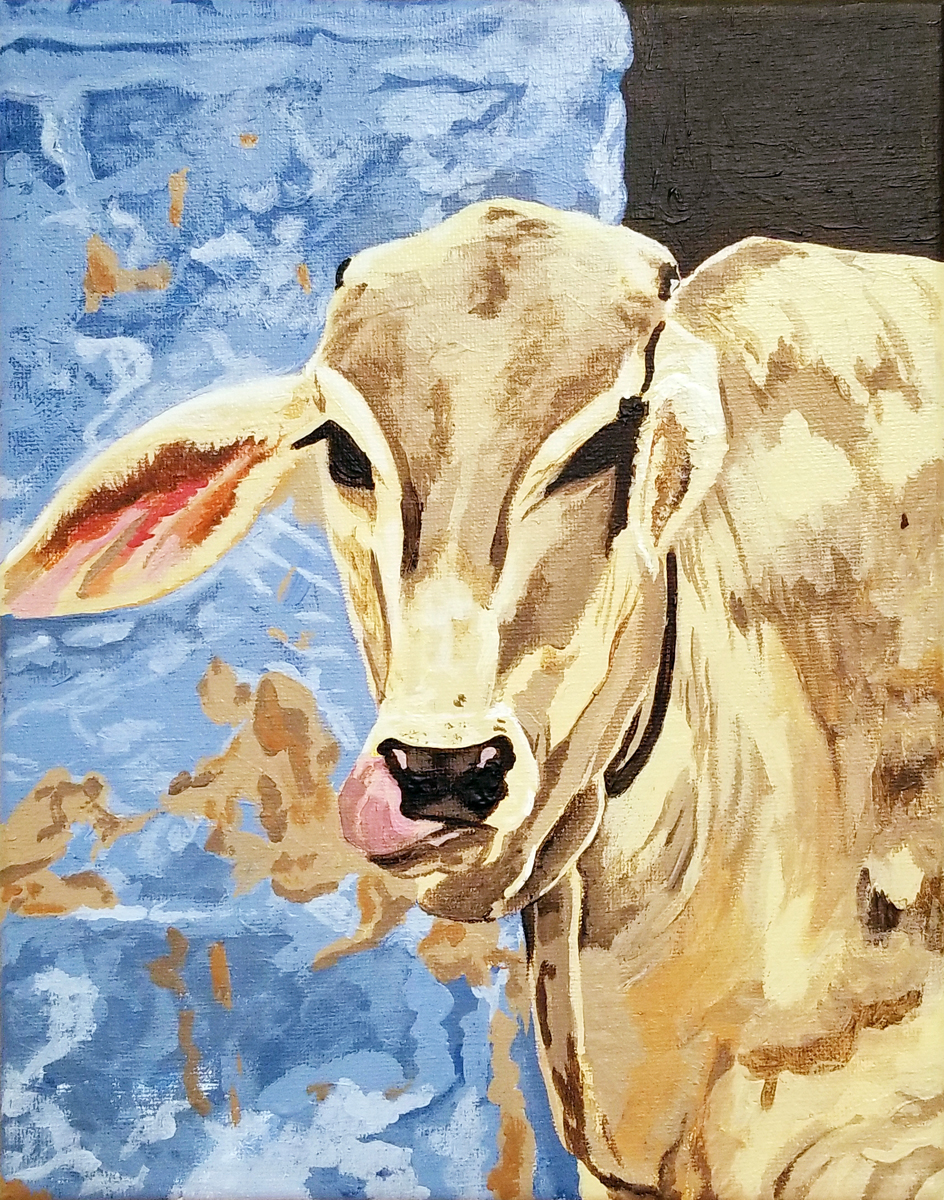 Cow