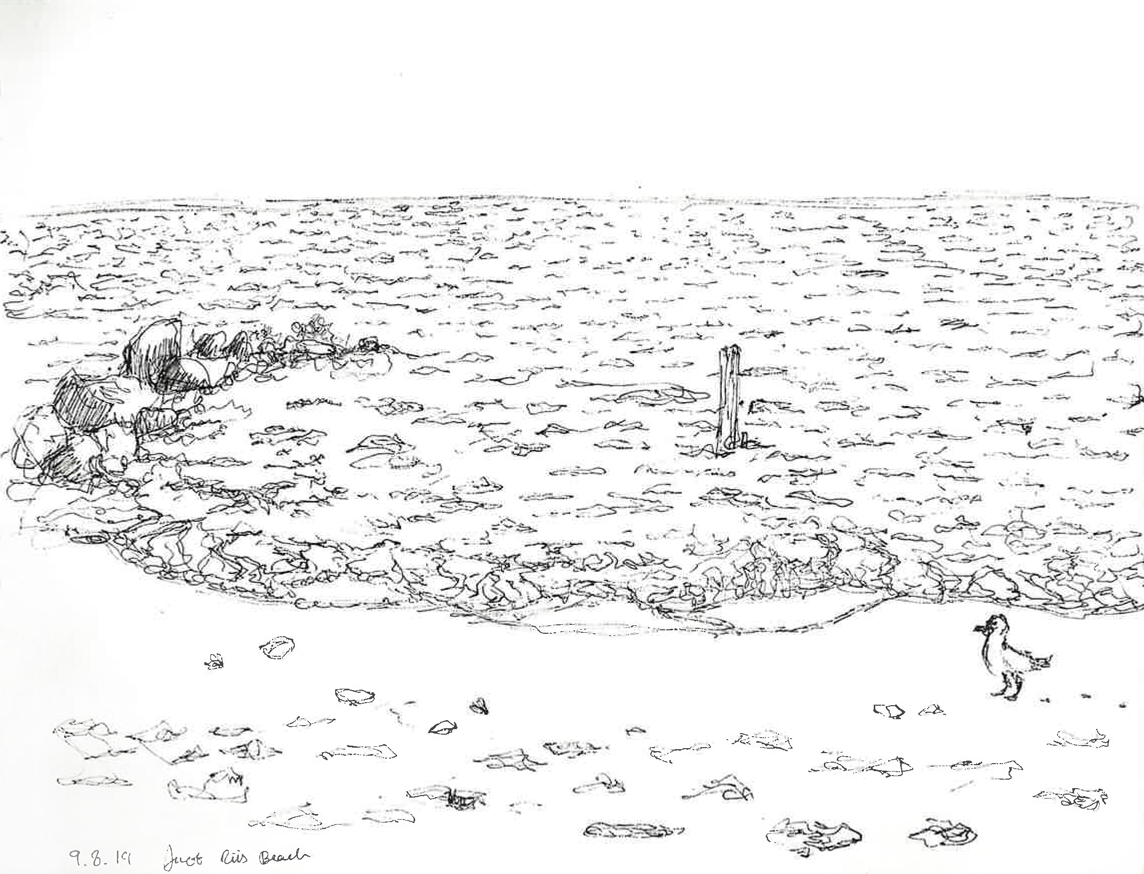 Riis090819