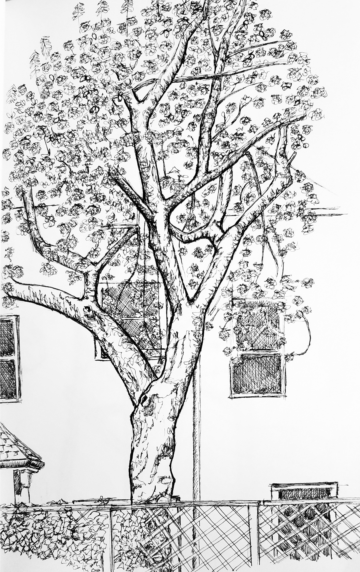 CherryTree